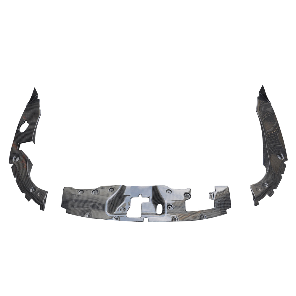 Image of CarbonWorks Luchtgeleidingsplaat Dry Carbon Honda Civic