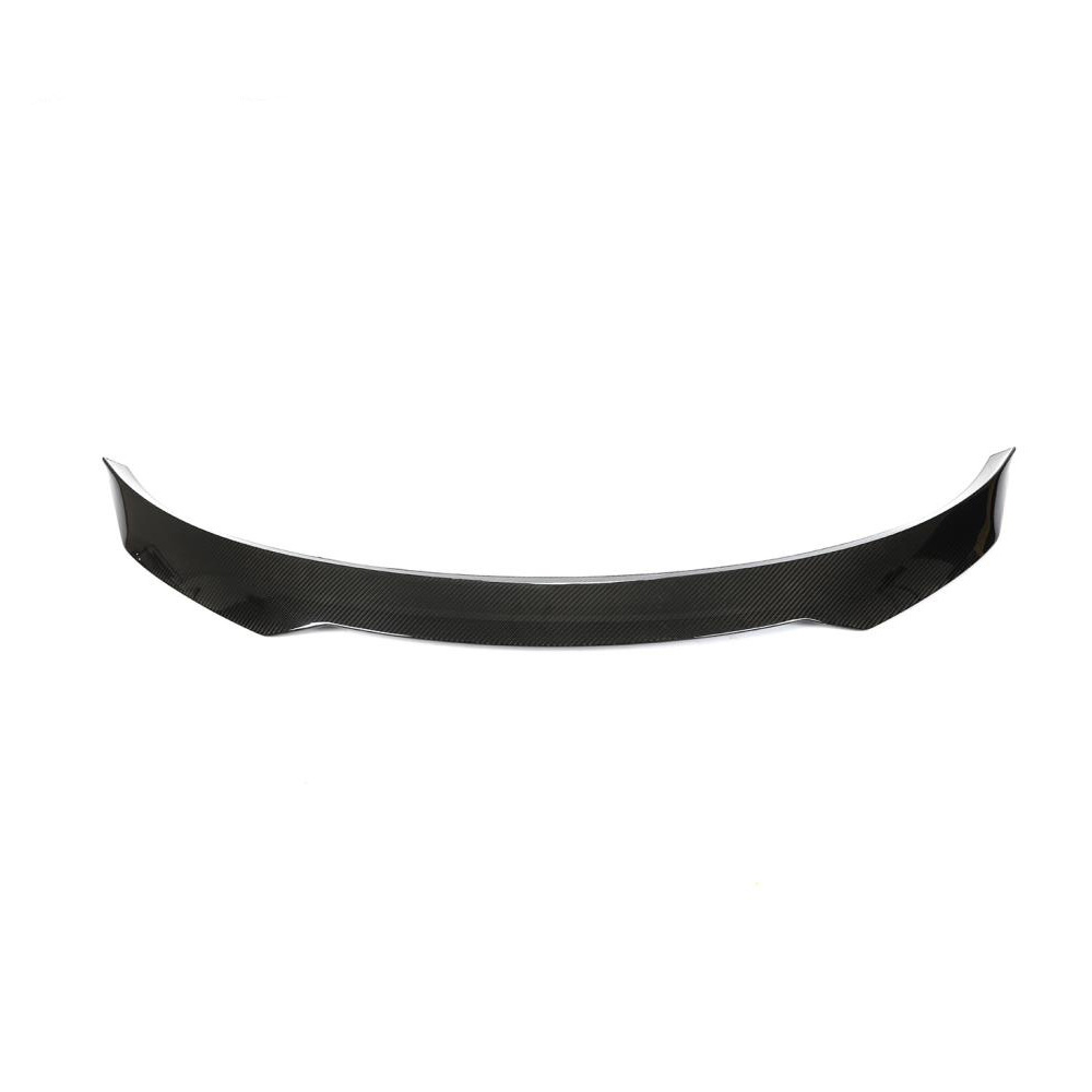Image of CarbonWorks Achter Koffer Spoiler Carbon Tesla Model Y