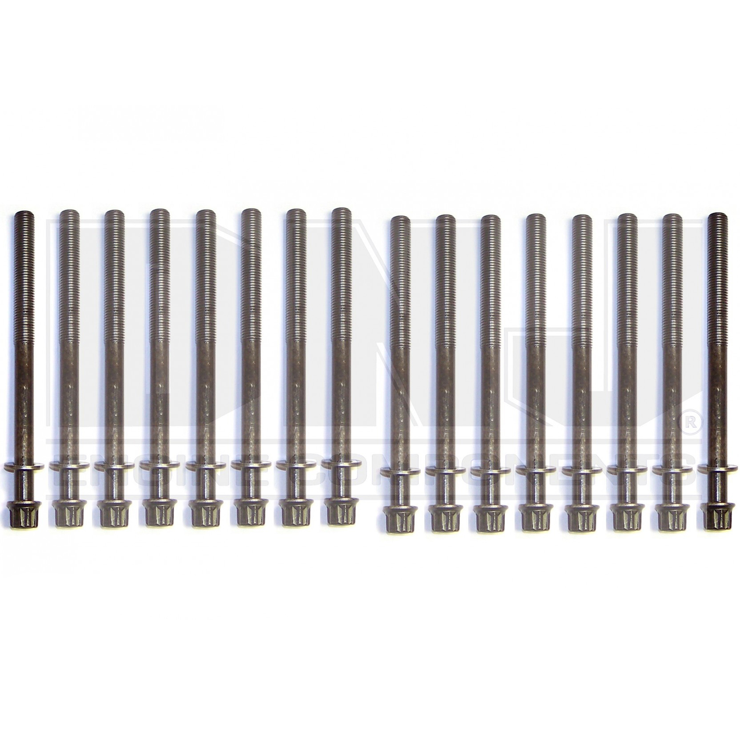 Image of DNJ Cilinderkop Bouten OEM Honda Accord,Legend