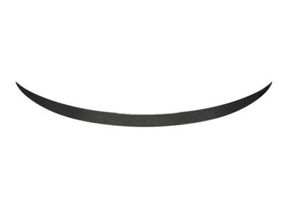 Image of CarbonWorks Achter Spoiler Performance Carbon Tesla Model 3