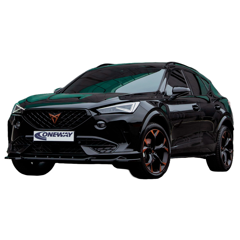 Image of Oneway Voor Bumper Lip Zwart ABS Plastic Cupra Formentor