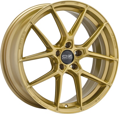 Image of OZ-Racing Estrema GT HLT Velgen 19 Inch 8J ET45 5x112 Flow Form Race Gold