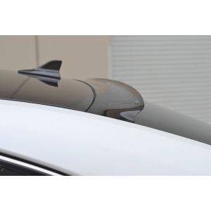 SK-Import Achter Windscherm Smoke Kunststof Lexus IS