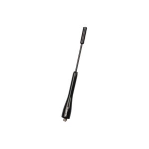 Foliatec Antenne Zwart
