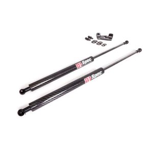 D1 Spec Motorkapdempers Carbon Honda Civic,Del Sol